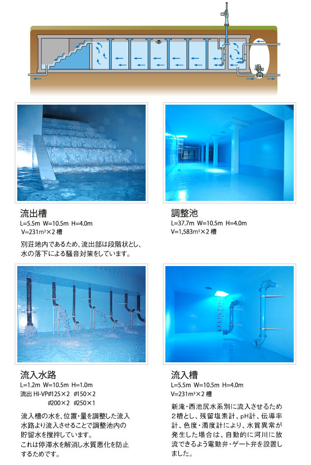 水槽の特徴と役割